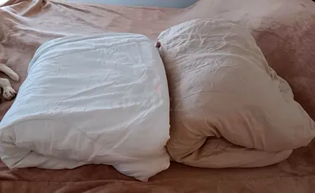 Comforter (2pcs)