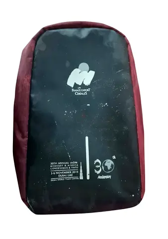 Burgundy Multi-Compartment Backpack in excellent condition
