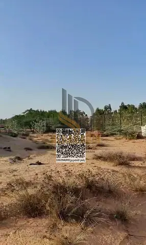 مزراعة للايجار كابر ام القيوين