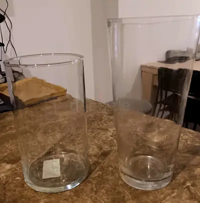Glass Flower Vases (2pcs)
