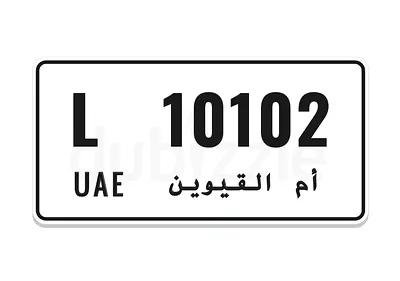 10102