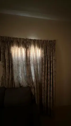 Curtain with Rail