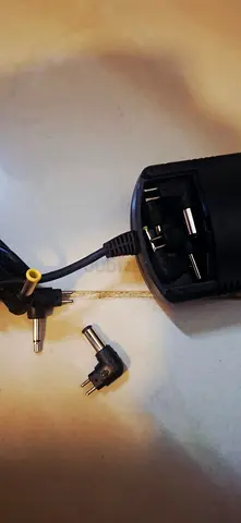 Car adaptor with different connectors
