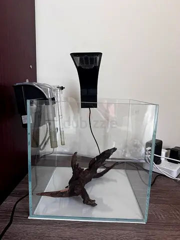 Glass Aquarium