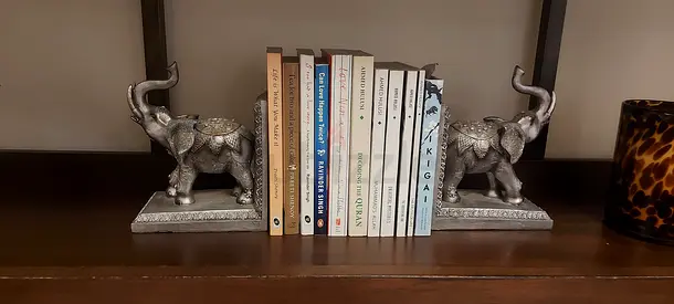 Stylish Bookends