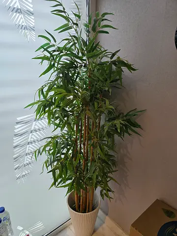 Fake plant bundle 2 with decorative pots