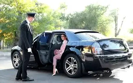 Limousine business