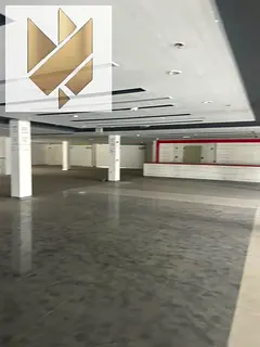 45,000 Sqft Two-Story Showroom + 10,000 Sqft Parking on Main Road in Ind Area 4