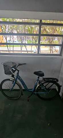 German bike - Diamant brand