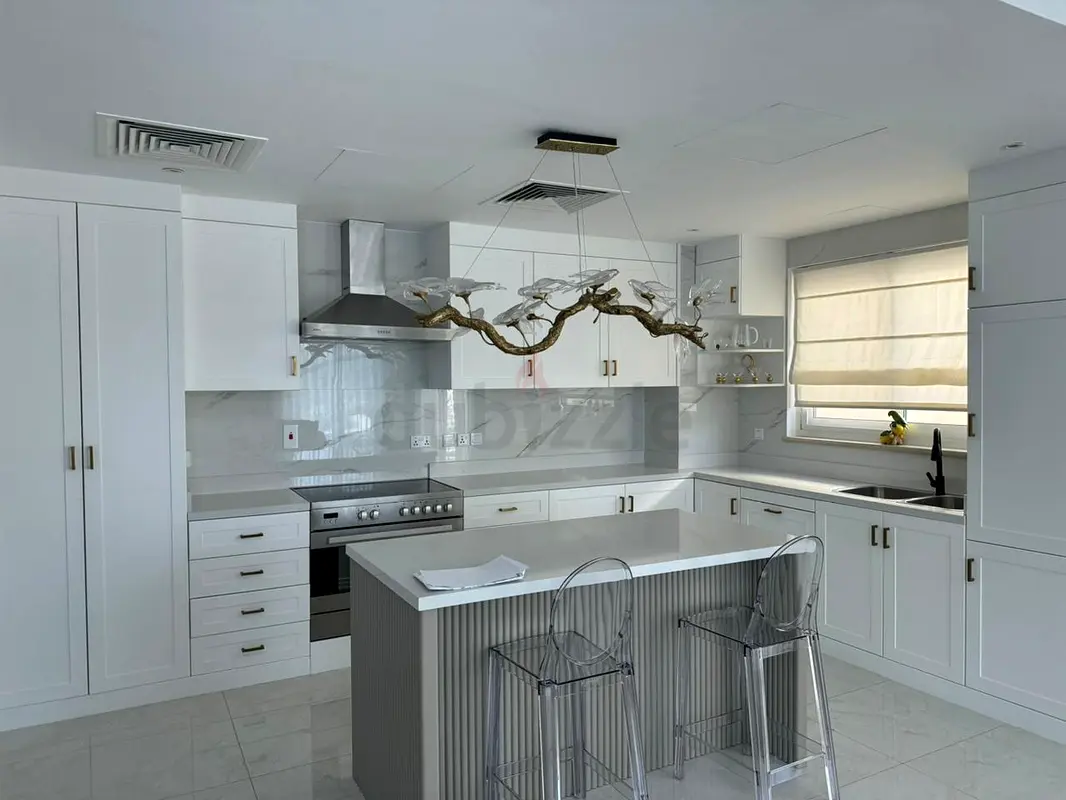 DPV_View_Image_4