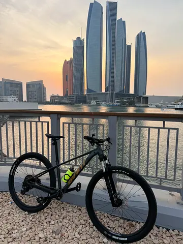 Giant Mountain bike 29ers