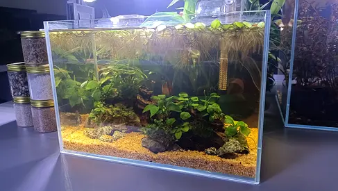 Aquascaping
