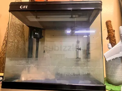 Fish aquarium with accessories