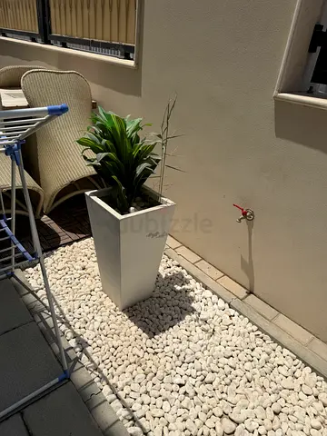 Tall White Rectangular Outdoor Planter with Green Plant