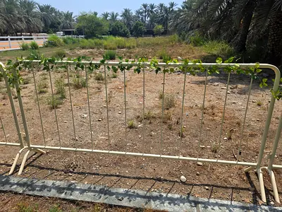 Lightly Used Steel Crowd Control Barrier / Event Pedestrian Fence / Police Fence - Heavy Duty