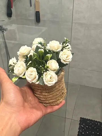 flowers and plant for sale