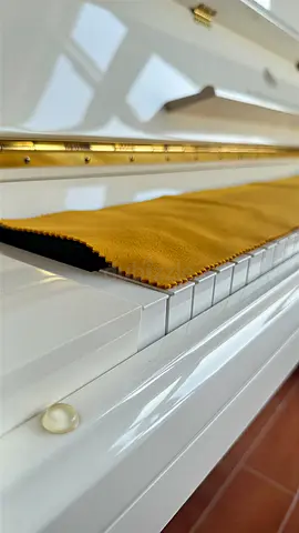 Pristine Steiner HU-123 Upright Piano (White) | 6 Months Warranty Remaining