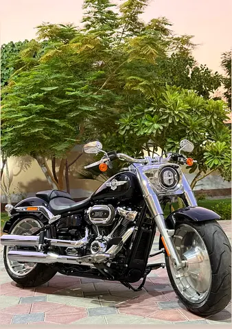 Super Clean FatBoy 2021