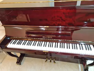 Kriebel Japan made classic upright piano & bench. Perfect working. Cash on free delivery and tun