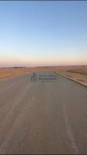 Residential land for sale in Al-Bulaida 1.