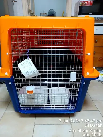Cats and dogs carriers for air travel