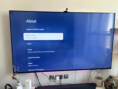 85 inch Sony Bravia TV