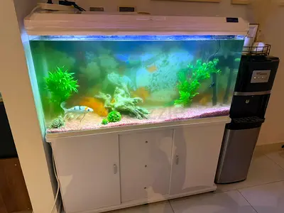 Large 4ft Aquarium with Cabinet, Hood & Lighting Fish included