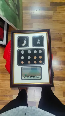 Framed Coin Collection with Decorative Inlays-28x39cm
