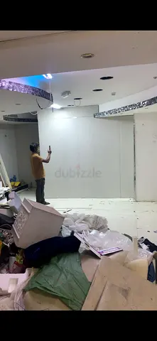 Professional Painting Services-Interior,Exterior,Villa,Flat