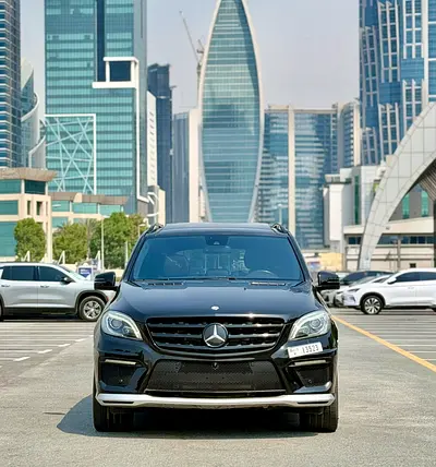 2014 Mercedes-BENZ M-CLASS 照片 2