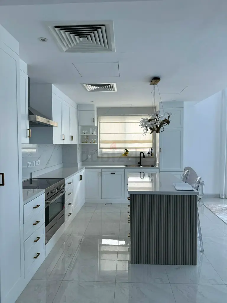 DPV_View_Image_1