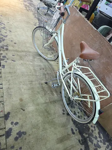 City bike Spartan platinum