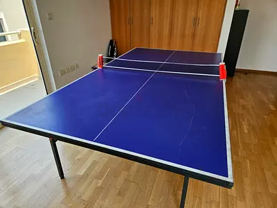 Table tennis