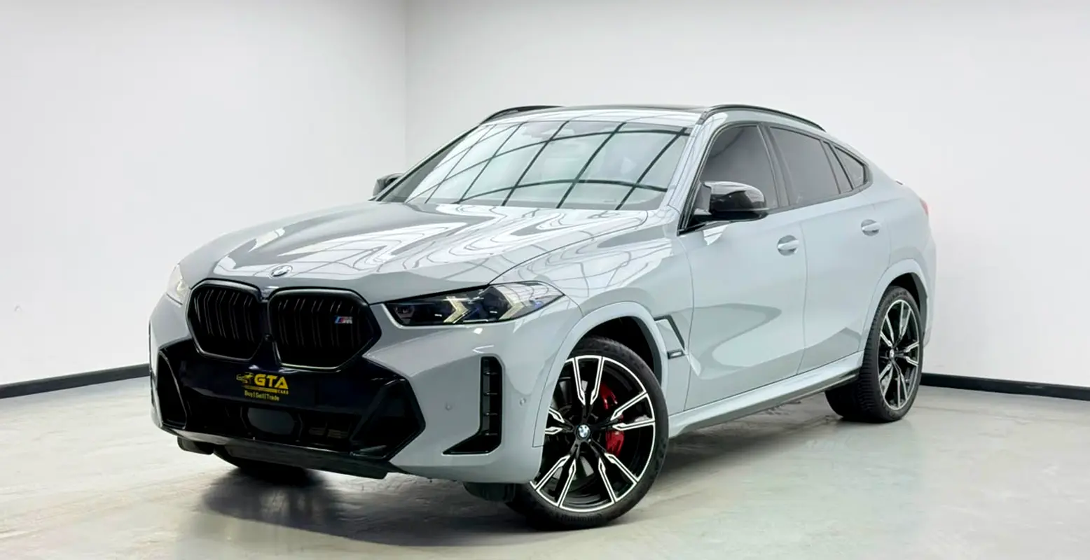 2024 BMW X6