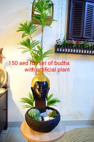 Wooden Buddha complete set