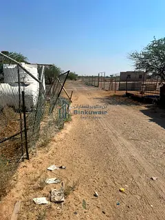 Agricultural land available for rent and investment in Al Dhaid (Al Yafr 1); it is the second plot f