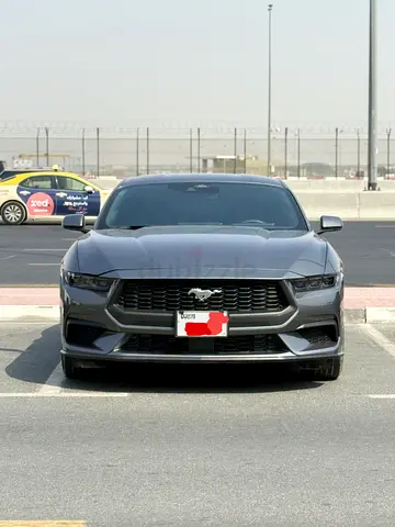 Ford Mustang Ecoboost 2025 - American Specs - Brand New
