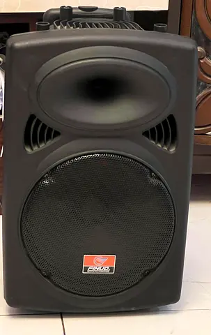 FINUO Portable Active Speaker – Good Condition