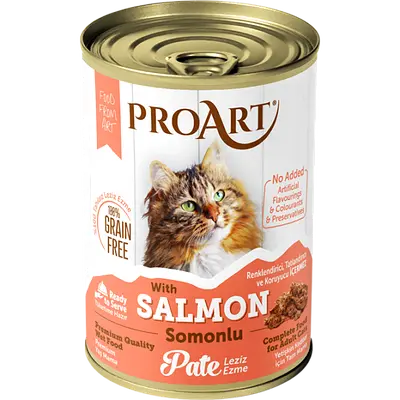 Pro Art Wet Food Pate with Salmon for Adult Cats 400g x 12 Pcs