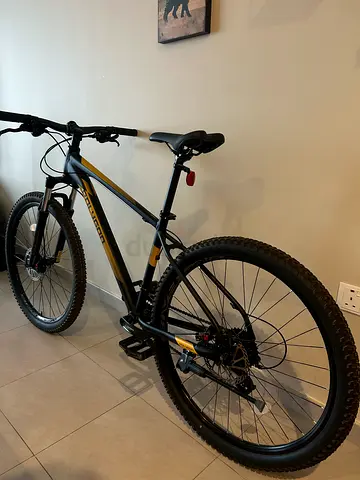 MTB Polygon Cascade 4