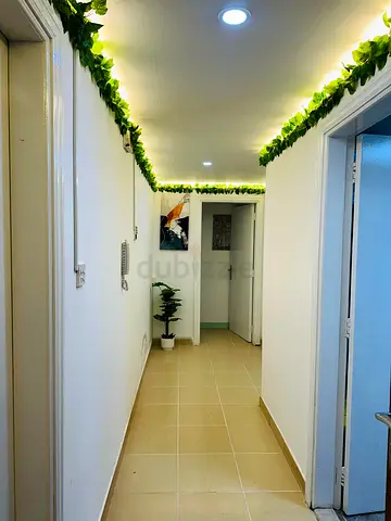 Affordable Partition Available in Rigga, Dubai