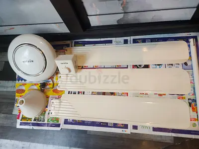 Ceilling Fan