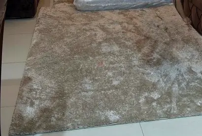 Carpet - Excellent Condition