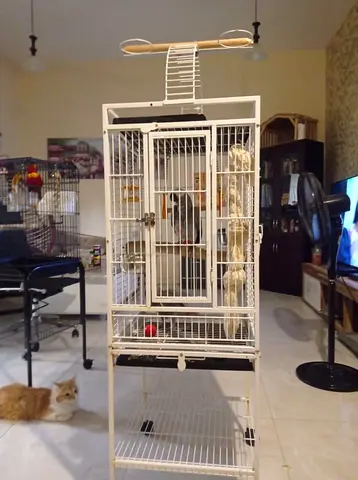 Cage for bird