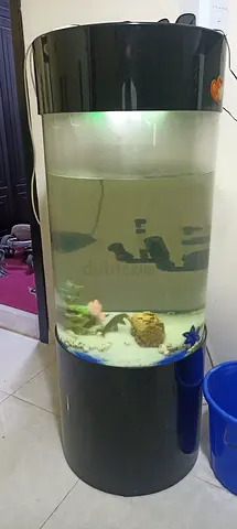 Tall cylindrical home aquarium with hood and filtration