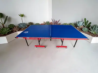 Table Tennis Table ,Ping Pong Table Indoor Foldable With NET Bat And Ball Set