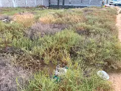 Land for sale in Al Yasmin – Ajman | Area 2,713 sq ft | Prime location | Attractive price for quic