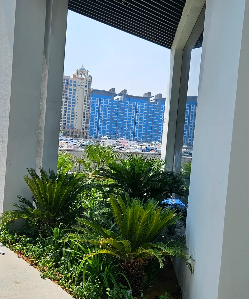 DPV_View_Image_3