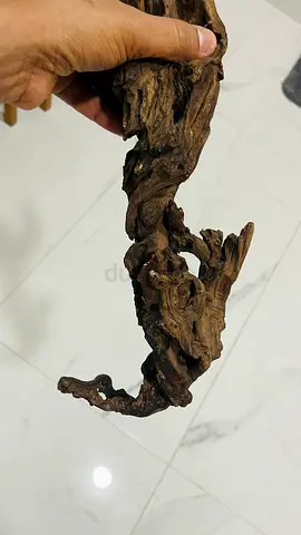 Natural driftwood piece for aquarium or decor - 38 cm