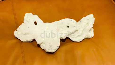 Natural white coral specimen - irregular display piece